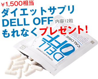 �_�C�G�b�g�T�v���̓��T